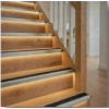 LDMBL6245 - 62X45 MM ALM. LEDLİ MERDİVEN BASAMAK PROFİLİ (LASTİKLİ) 270 CM