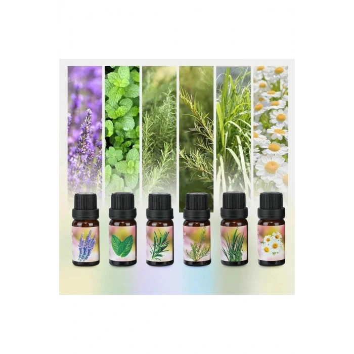 6lı Ekonomi karışık SET Esansiyel Uçucu Yağı Buhardanlık Difüzör Esansı Oda Kokusu