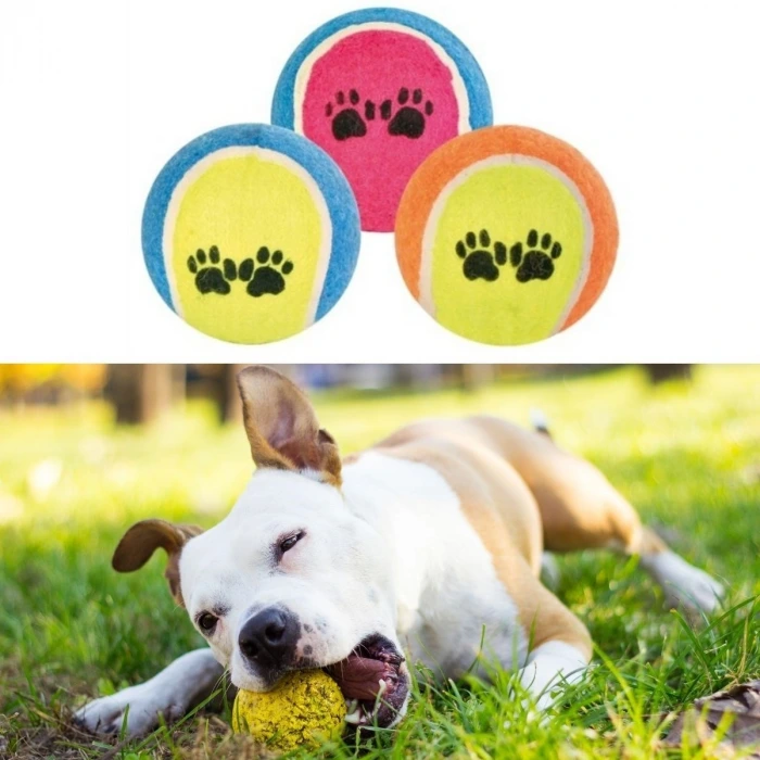 İpek Yıldızı®  3lü Renkli Desenli Tenis Topu Kedi Köpek Oyuncağı