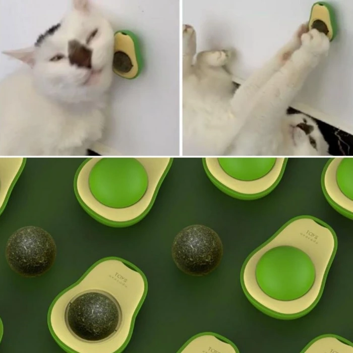 İpek Yıldızı® Avokado Model Yapışkanlı Kedi Oyuncağı Yenilebilir Kedi Nanesi Otu