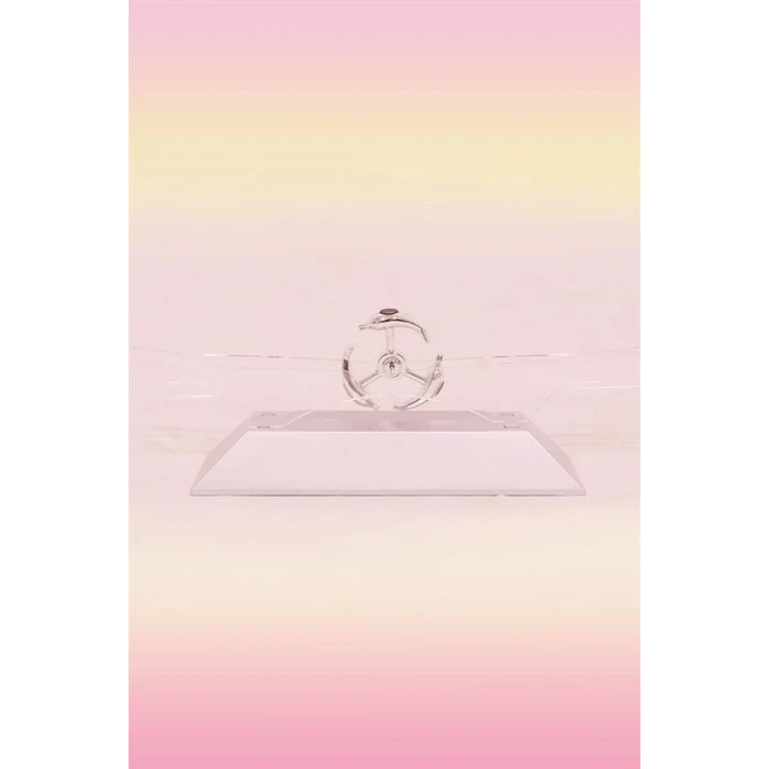 İpek Yıldızı® Dekoratif Masa Üstü Obje Manyetik Kinetik Orbital Dönen Yunuslar