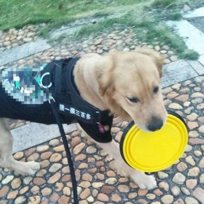 İpek Yıldızı® Katlanabilir Kedi Köpek Mama ve Su Kabı Köpek Oyuncağı