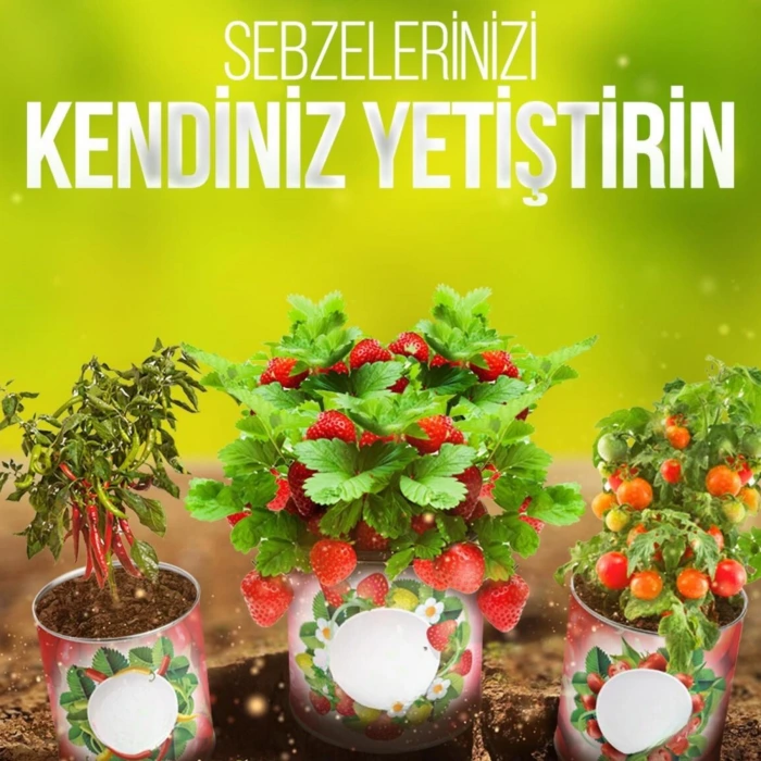 İpek Yıldızı® Konserve Bahçem Evde Konservede Fındık Turp Yetiştirme Kiti
