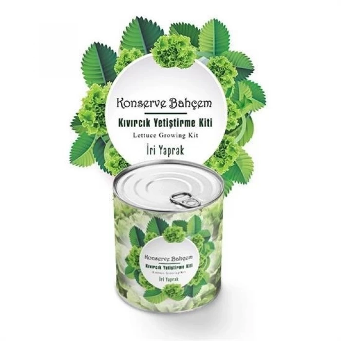 İpek Yıldızı® Konserve Bahçem Evde Konservede İri Yapraklı Kıvırcık Yetiştirme Kiti