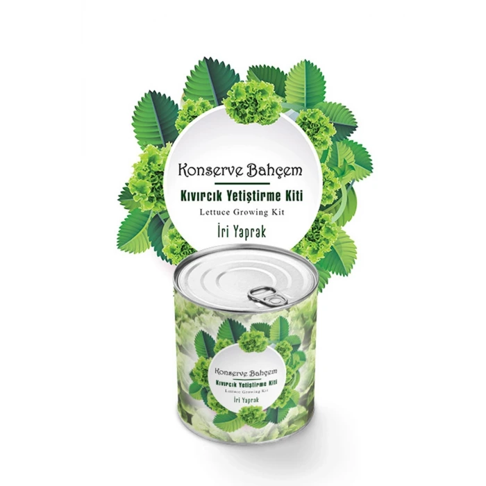 İpek Yıldızı® Konserve Bahçem Evde Konservede İri Yapraklı Kıvırcık Yetiştirme Kiti