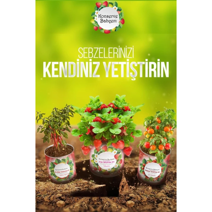 İpek Yıldızı® Konserve Bahçem Nane Yetiştirme Kiti