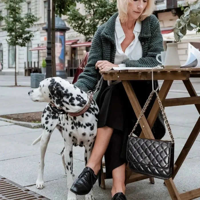 İpek Yıldızı® Masaya Takılabilen Çanta Askısı Çanta Tipi Pratik Metal Çanta Kanca