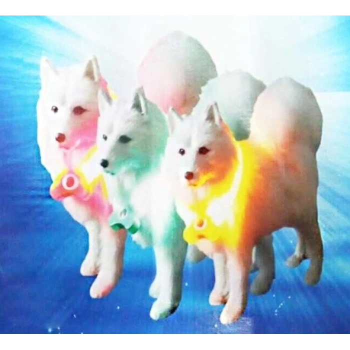 İpek Yıldızı® Mavi Renk Neon Led Işıklı Kedi Köpek Kolyesi (18,5 cm)