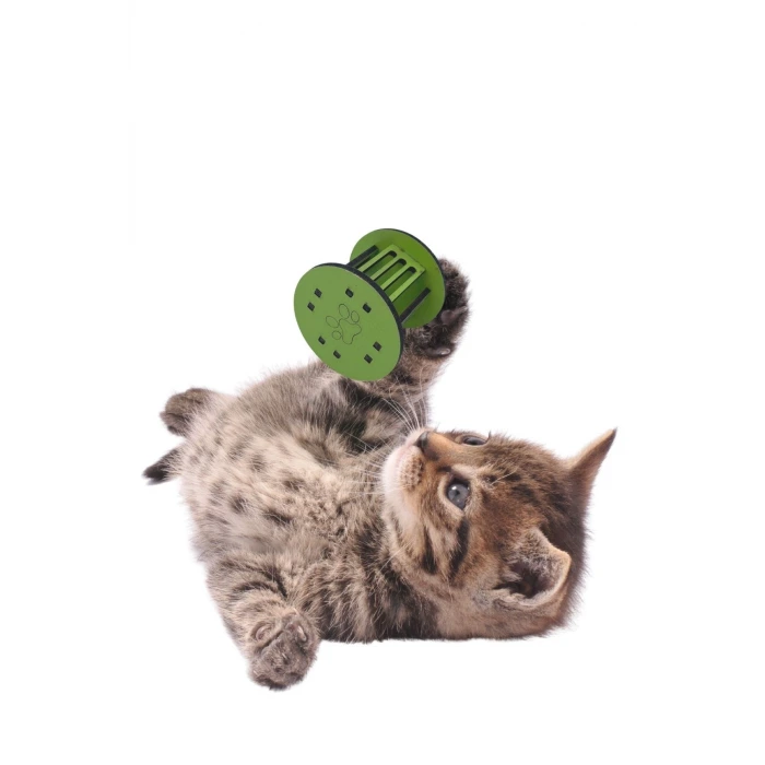 İpek Yıldızı®  Mini Silindir Eğlenceli Renkli Sağlam Küçük Pati İzi Şekilli Kedi Oyuncağı