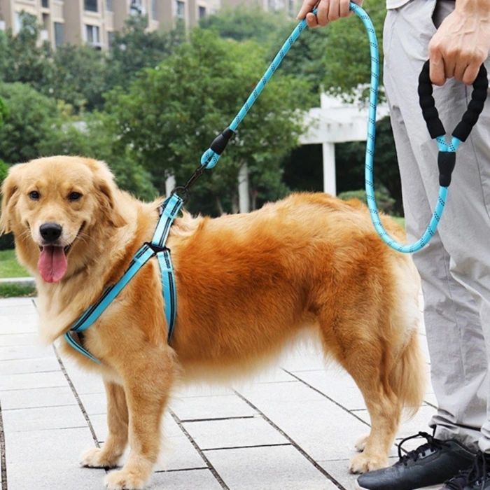 İpek Yıldızı® Reflektörlü Fosforlu Köpek Gezdirme Halatı Tasma Kayışı Metal Kancalı 130 cm