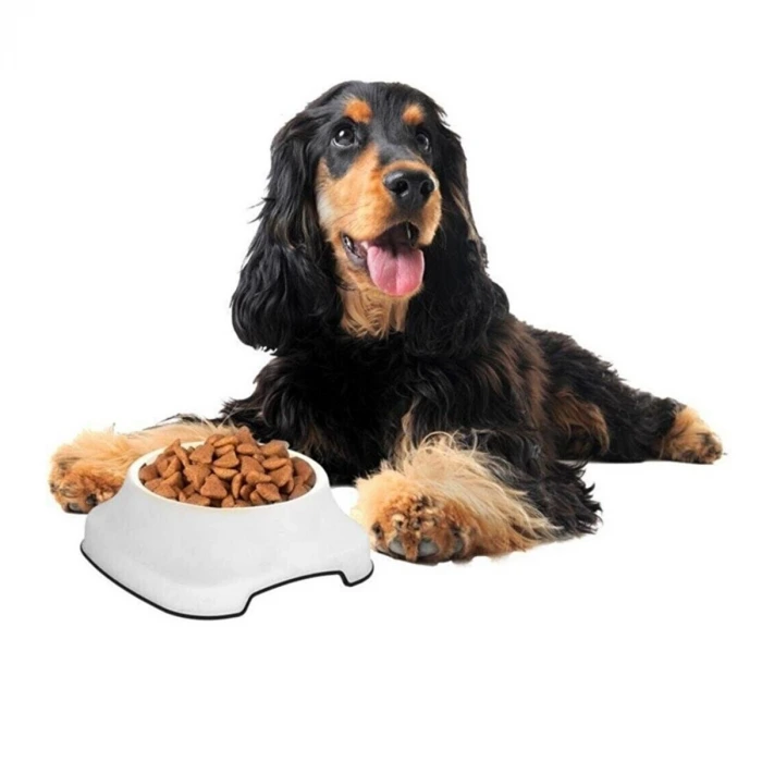 İpek Yıldızı® Silikon Kaydırmaz Taban Plastik Kedi ve Köpek Mama ve Su Kabı 2 L