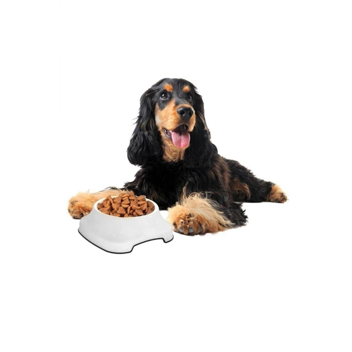 İpek Yıldızı® Silikon Kaydırmaz Taban Plastik Kedi ve Köpek Mama ve Su Kabı 2 L