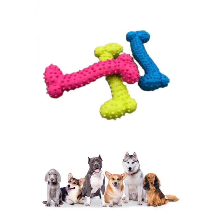 İpek Yıldızı® Tiny Kemik Oyuncağı Tırtıklı Yüzey Küçük Kemik Plastik Köpek Oyuncağı