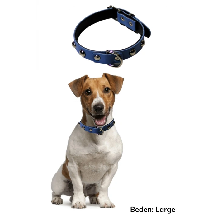 İpek Yıldızı® Yumuşak Dokulu Deri Köpek Gezdirme Boyun Tasması (Large)