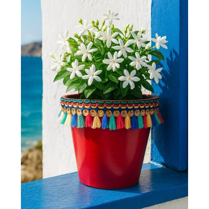 NF DEKORATİF SAKSI 1.7 LİTRE Kırmızı