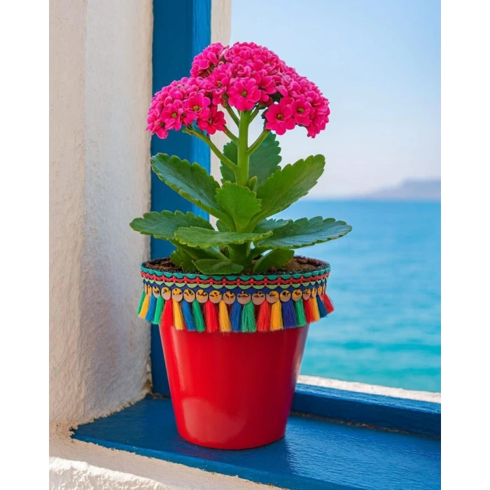 NF DEKORATİF SAKSI 1.7 LİTRE Kırmızı