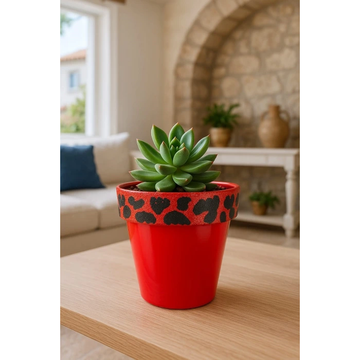 Nf Ferrari Kırmızı Saksı 1.7 litre