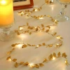 3 Metre Yaldızlı Gold LED Işık – Dekoratif Ortam ve Yılbaşı Aydınlatması