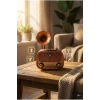 Gramofon Tasarımlı Nostaljik Bluetooth Radyo Hoparlör Müzik Çalar