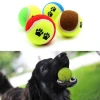 İpek Yıldızı®  3lü Renkli Desenli Tenis Topu Kedi Köpek Oyuncağı