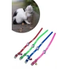 İpek Yıldızı® Çıngıraklı Zilli Sevimli Renkli Slikon Kedi Köpek Boyun Tasması