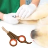 İpek Yıldızı Küçük Çelik Uçlu Kedi Köpek Evcil Hayvan Tırnak Makası Pati Bakım Aleti Ergonomik Kaymaz Sap