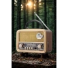 İpek Yıldızı® Orta  Boy Retro, Nostaljik, Ahşap Tasarım Bluetooth Hoparlörlü, Şarjlı, Taşınabilir FM/AM Destekli Radyo NS-8110