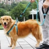 İpek Yıldızı® Reflektörlü Fosforlu Köpek Gezdirme Halatı Tasma Kayışı Metal Kancalı 130 cm