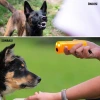 İpek Yıldızı® Ultrasonik Köpeksavar Köpek Kovucu Köpek Kornası Eğitim Cihazı