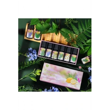 6lı Ekonomi karışık SET Esansiyel Uçucu Yağı Buhardanlık Difüzör Esansı Oda Kokusu