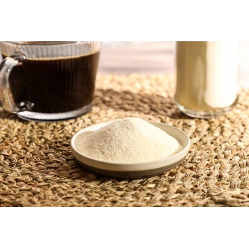 BFS KAHVE KREMASI 1000 Gr (1 Kg)