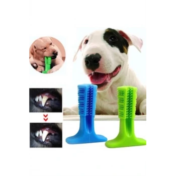 İpek Yıldızı® Köpek Diş Temizleyici ve Kaşıyıcı Sağlıklı Küçük Boy Oyuncak