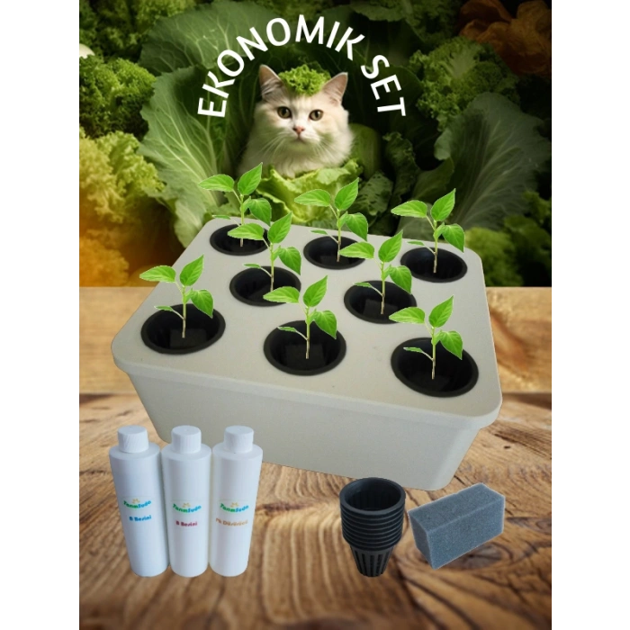 Topraksız Tarım Ekonomik Set Beyaz Hidroponik Set Suda Tarım Hobi Seti