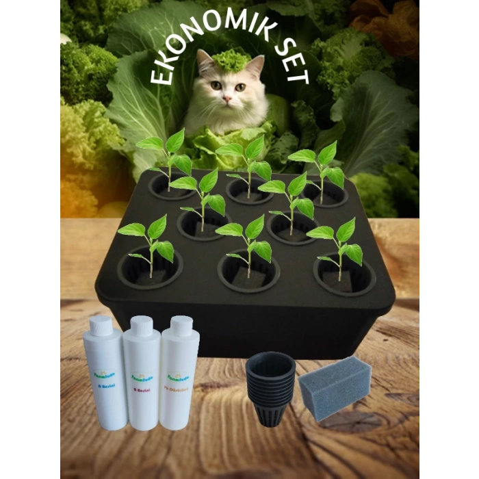 Topraksız Tarım Ekonomik Set Hidroponik Set Suda Tarım Hobi Seti