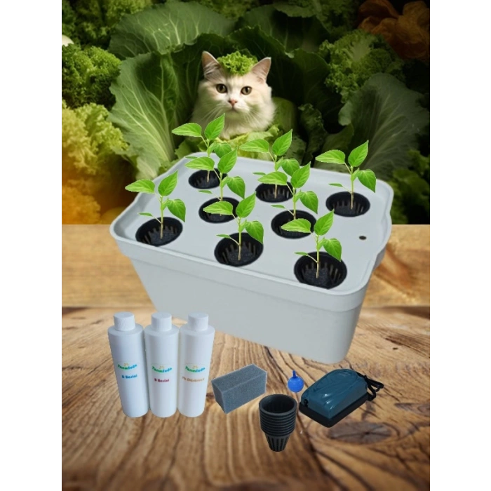 Topraksız Tarım Mini Set Beyaz Hidroponik Set Suda Tarım Hobi Seti