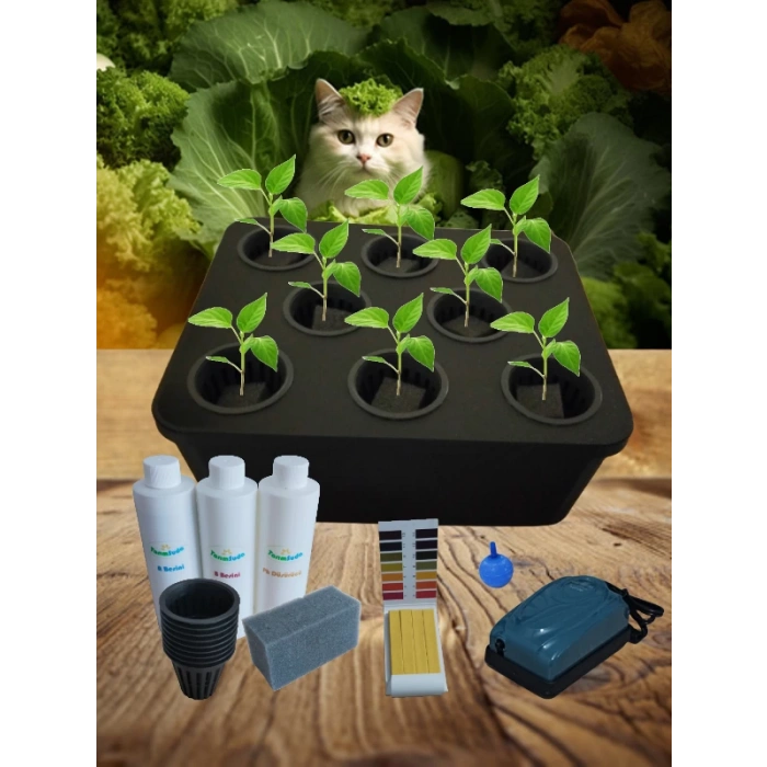 Topraksız Tarım Mini Set Hidroponik Set Suda Tarım Hobi Seti