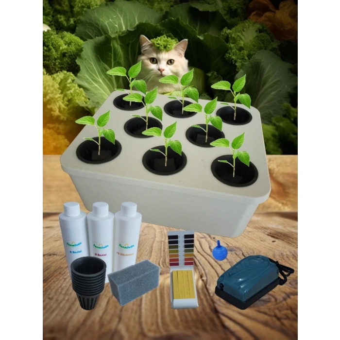 Topraksız Tarım Mini Set Hidroponik Set Suda Tarım Hobi Seti