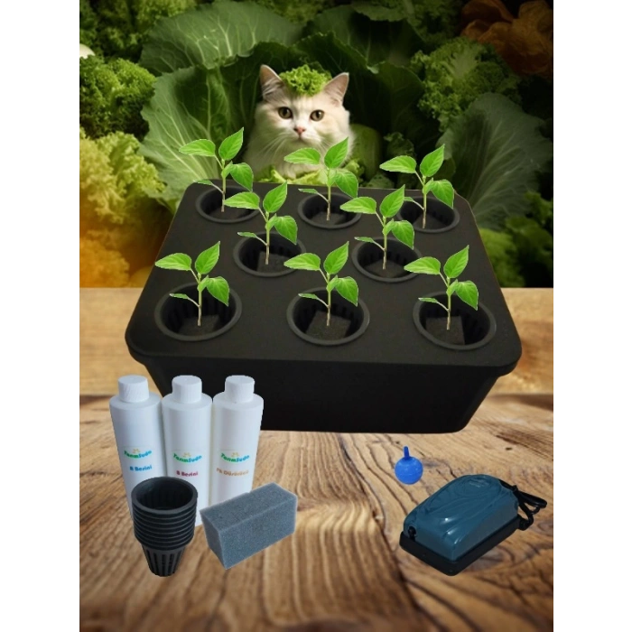 Topraksız Tarım Mini Set Siyah Hidroponik Set Suda Tarım Hobi Seti