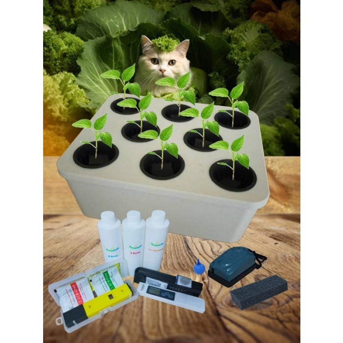 Topraksız Tarım Tam Set Beyaz Hidroponik Set Suda Tarım Hobi Seti