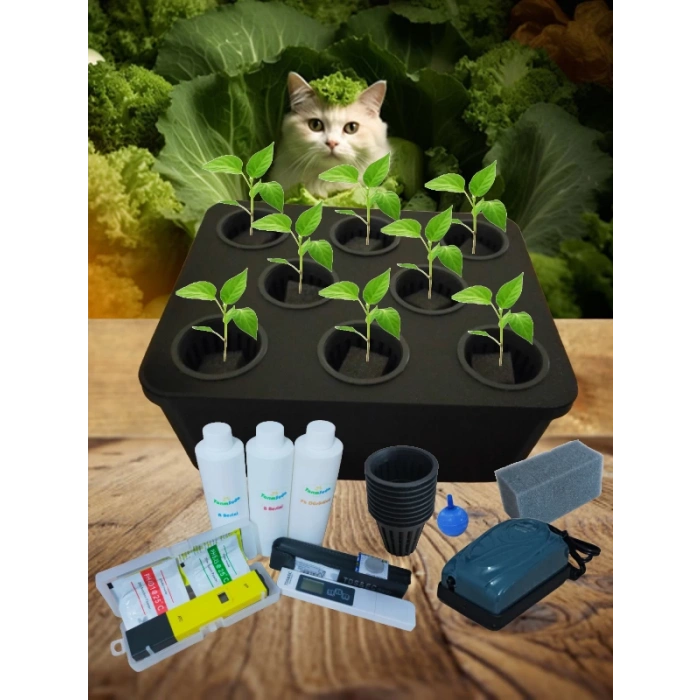 Topraksız Tarım Tam Set Hidroponik Set Suda Tarım Hobi Seti