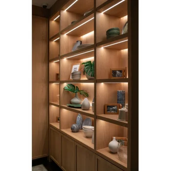 Ledli Kitaplık, Ledli Raf