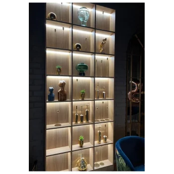 Ledli Kitaplık, Ledli Raf