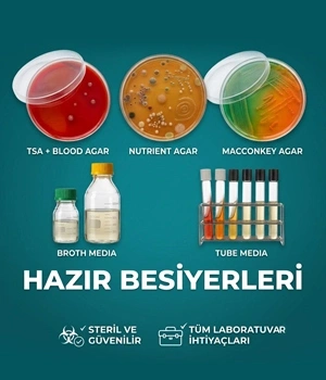 Hazır Besiyeri