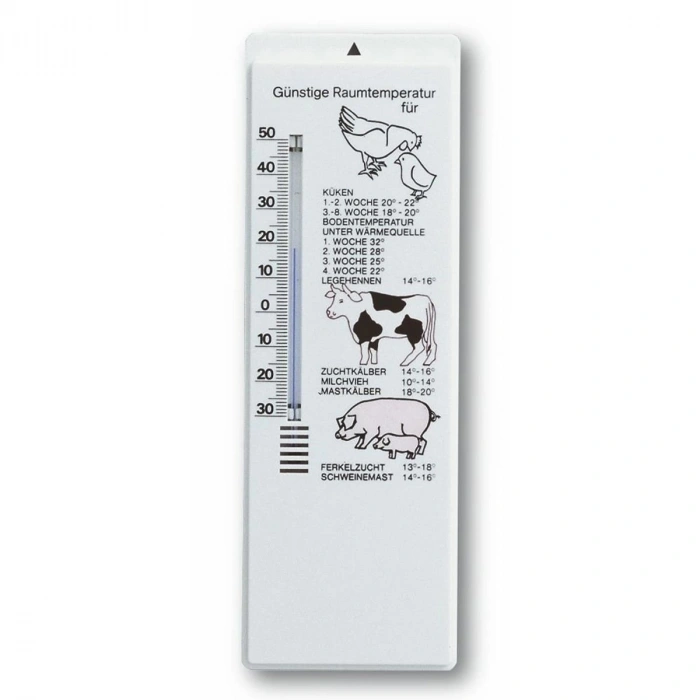 Analog iç-dış termometre