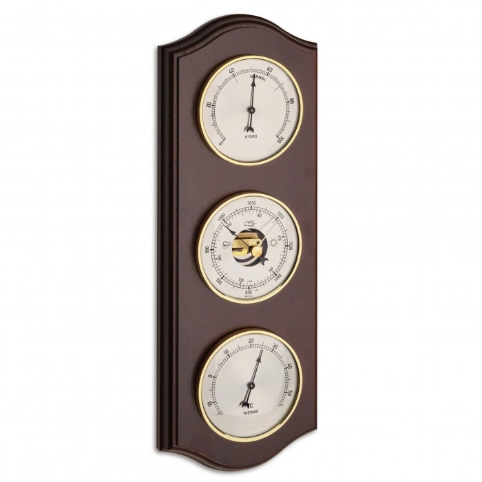 Ceviz analog hava istasyonu