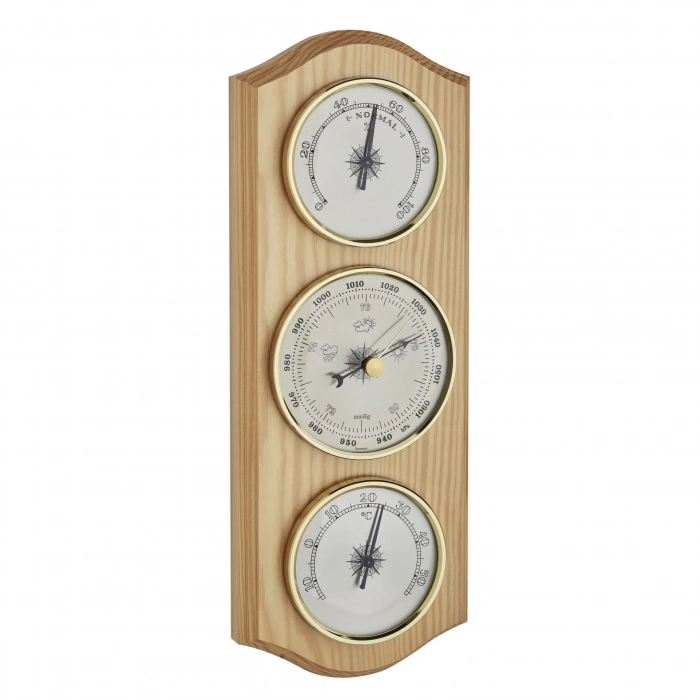 Hava durumu istasyonu - çam masifi