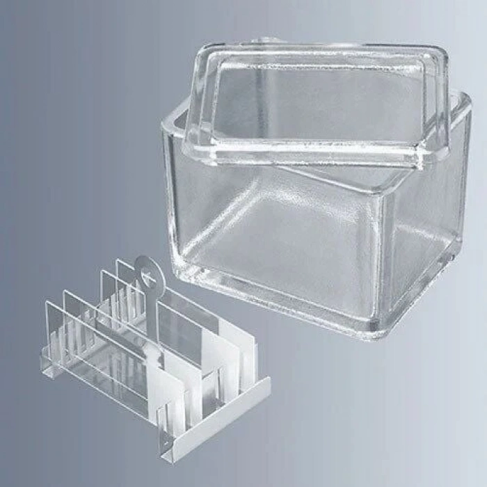 Lam Boyama Kabı, Cam, 10 Lamlık