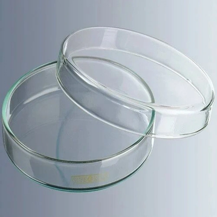 Petri Kutusu 60x15 mm, cam