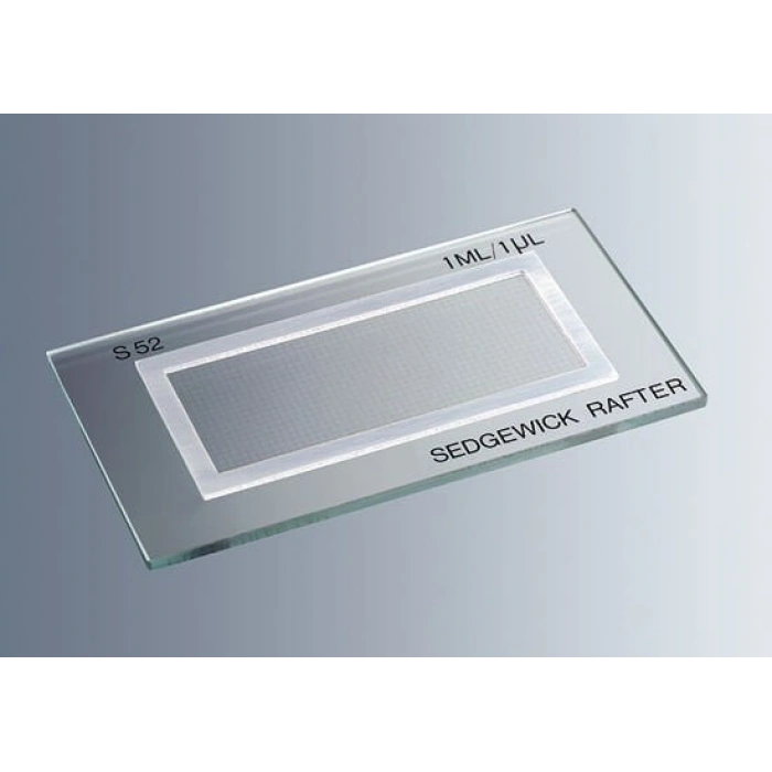 Sedgewick Rafter Lamı, Plastik