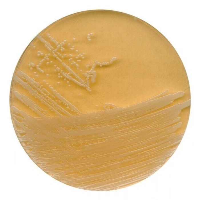 107324.0500 Tryptic Soy Agar With Polysorbate 80 And Lecithin For Microbiology 500 Gr